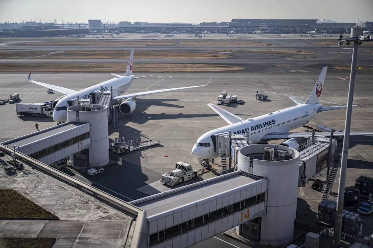 Bear roaming runway halts flights at Japanese airport