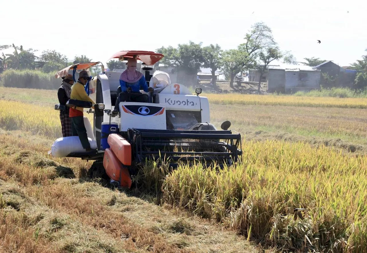 Climate-resilient agriculture
