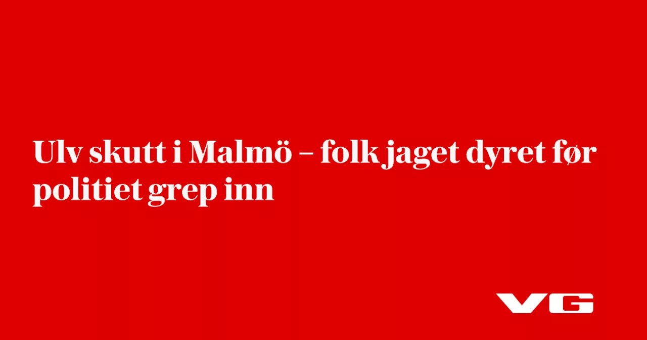 – folk jaget dyret før politiet grep inn