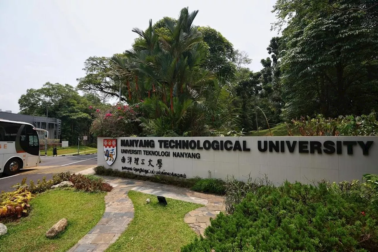 Panel with AI experts to review appeal of NTU student penalised for academic misconduct