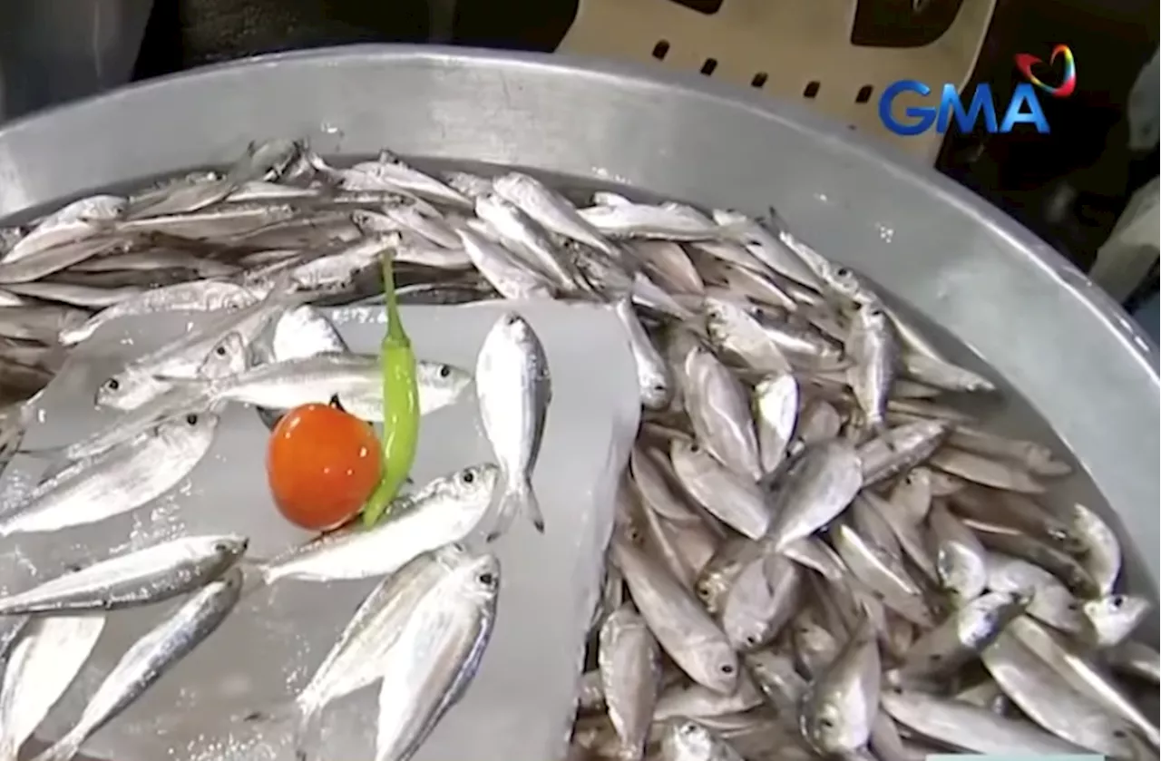 Tawilis sales affected by story missing sabungeros thrown into Taal Lake