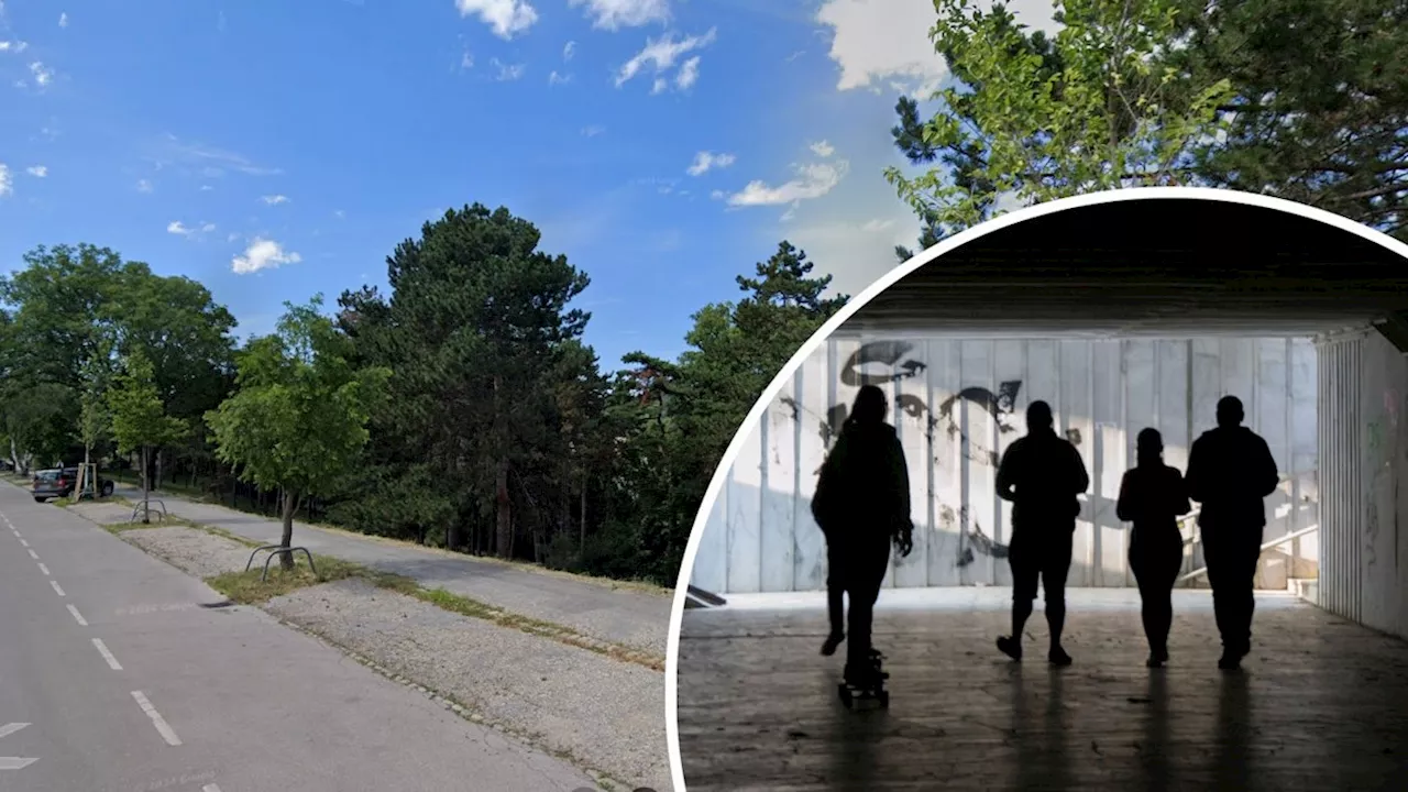 Tschetschenen in Wien-Döbling - 'Du hast nix mit ihr' – Sittenwächter prügeln Burschen