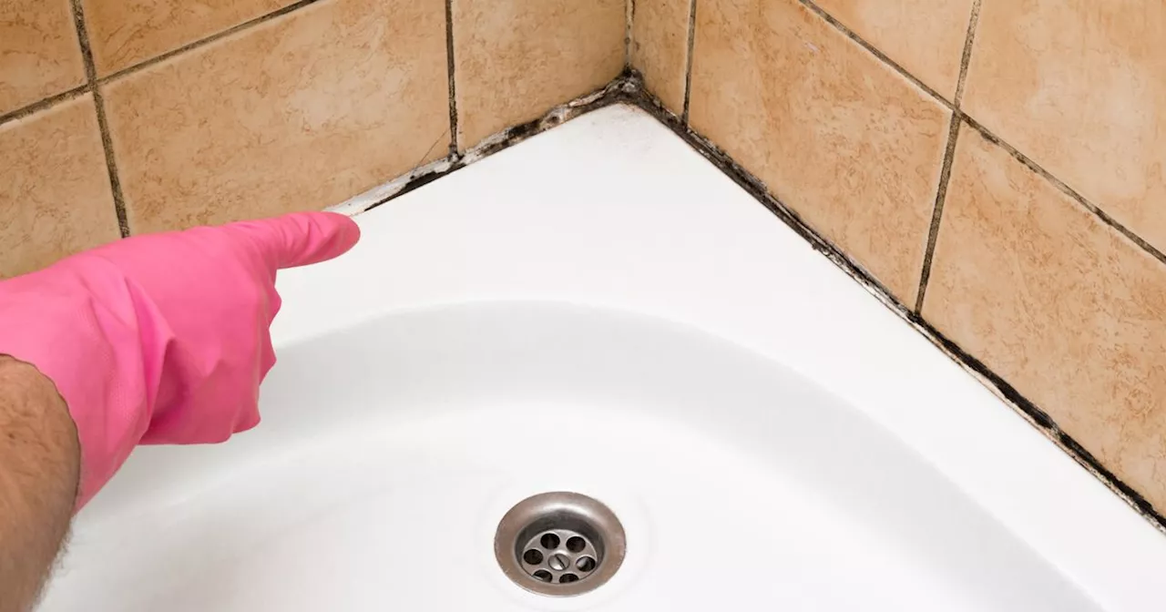 Expert shares top tips to get rid of mould in your bathroom