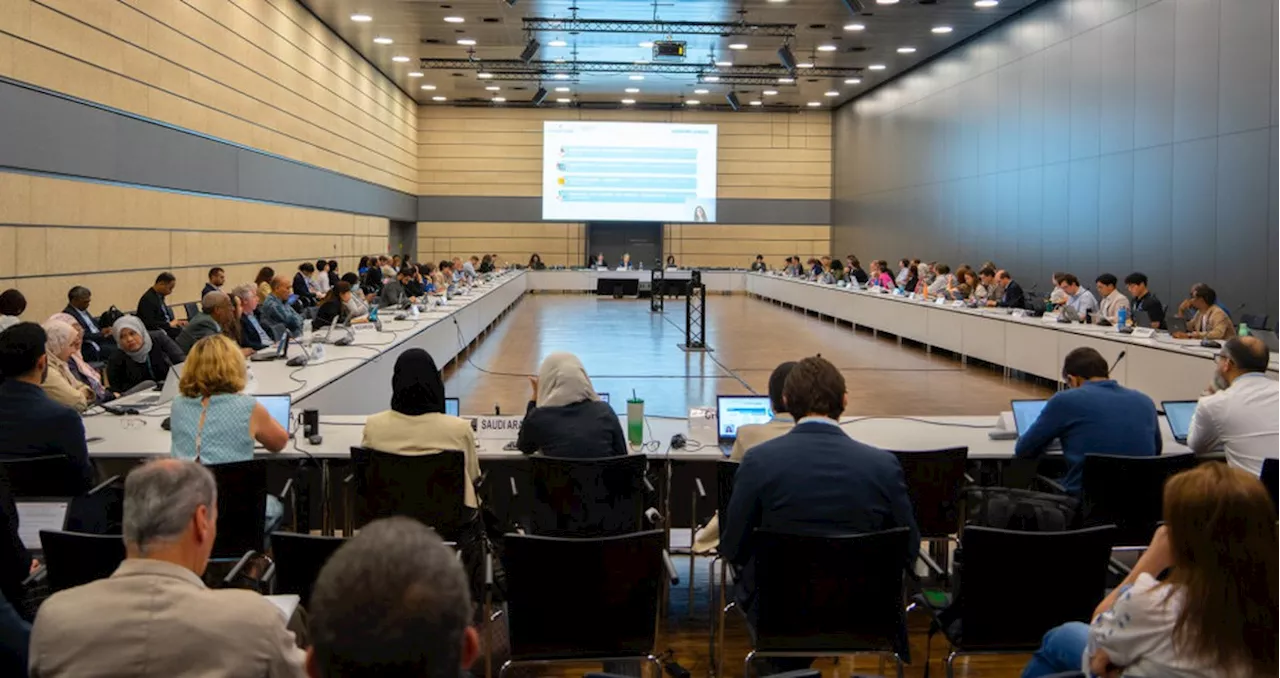 De meta global para o clima à 'transição justa', entenda quais foram as prioridades do Brasil na agenda pré-COP em Bonn