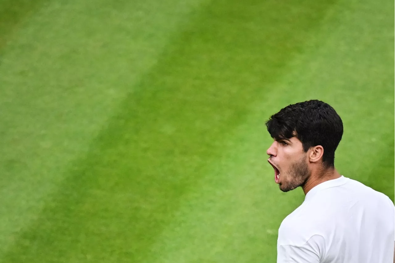 Alcaraz set to defend Wimbledon title against Fognini as Sinner eyes Djokovic semi-final showdown