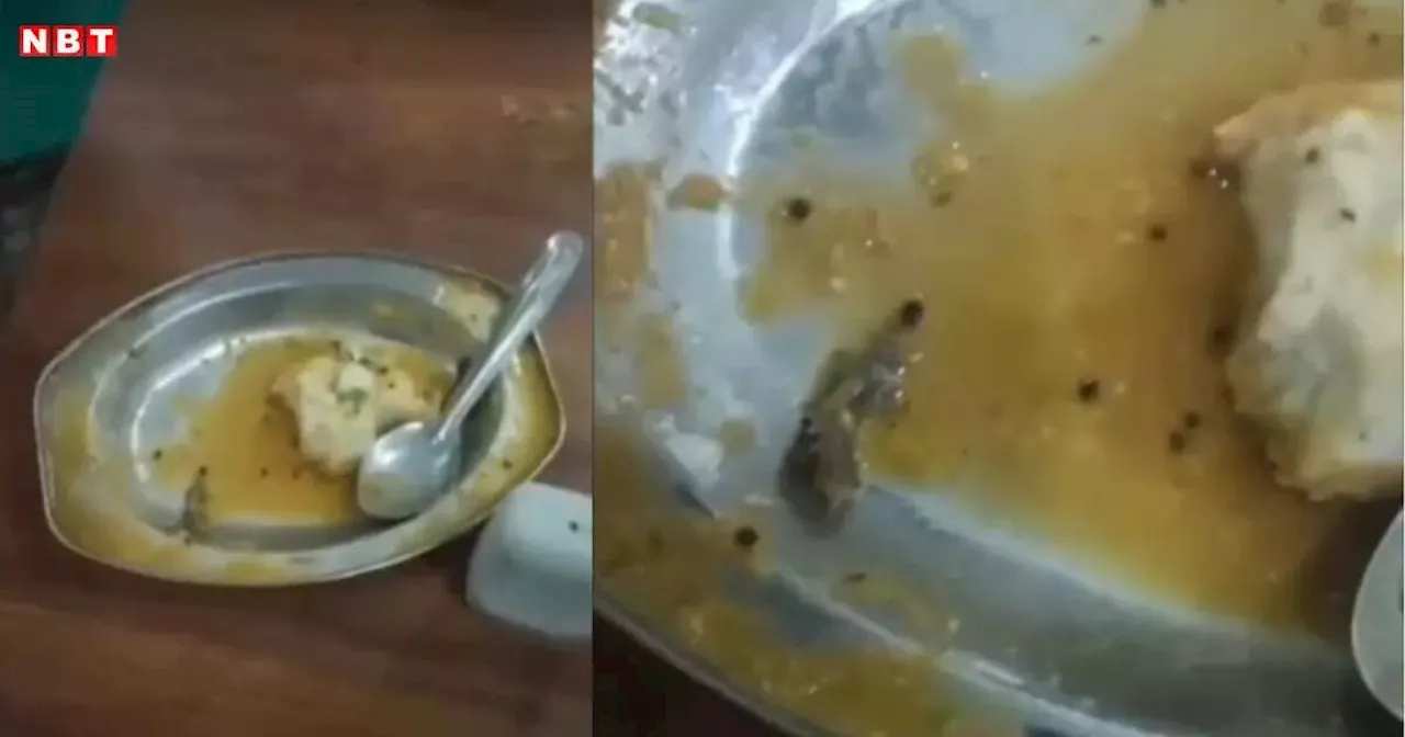 सतना में 'इडली-सांभर' के साथ परोसी मरी छिपकली; ग्राहक के वीडियो वायरल खाद्य विभाग तक पहुंचा तो हुआ एक्शन