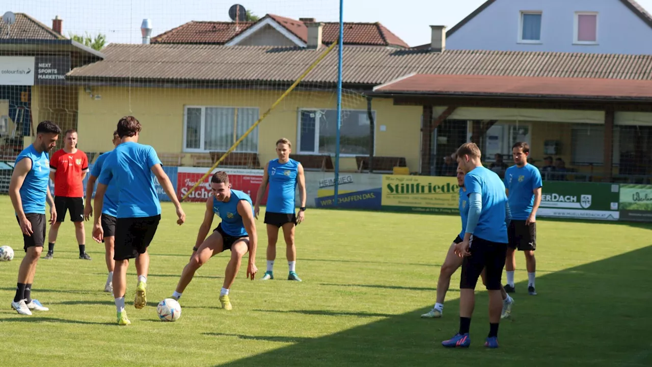 Sensation: Stripfing spielt auf eigenem Platz