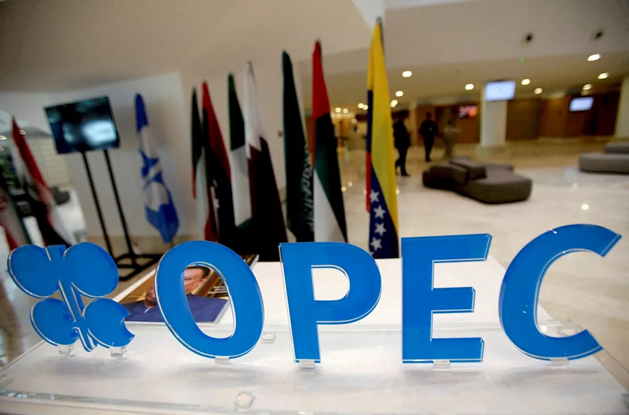 OPEC+ projects rising oil demand, especially in summer - SABC News - Breaking news, special reports, world,