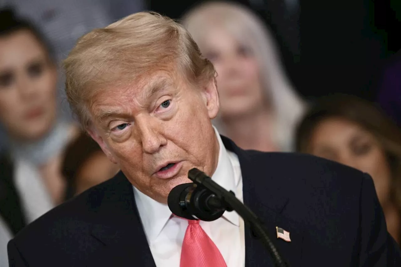 Dollar slides as Trump eyes new Fed boss
