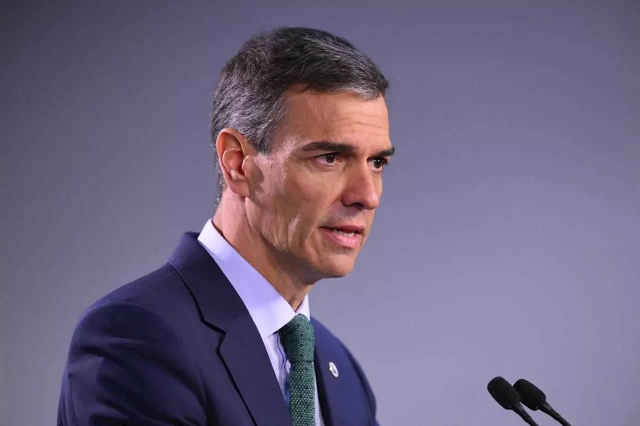 Spain PM says Gaza in 'catastrophic situation of genocide'