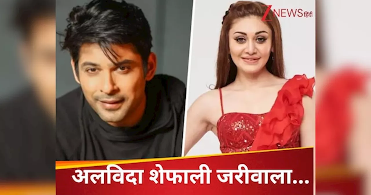 Shefali Jariwala Death: कभी किया था एक-दूसरे को डेट, सिद्धार्थ शुक्ला के बाद बिग बॉस-13 फेम शेफाली जरीवाला का निधन