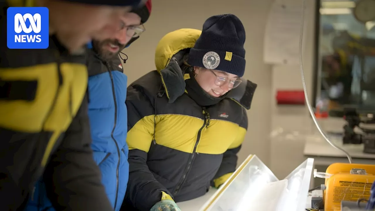 Antarctic scientists analyse first samples from 'Million Year Ice Core' project
