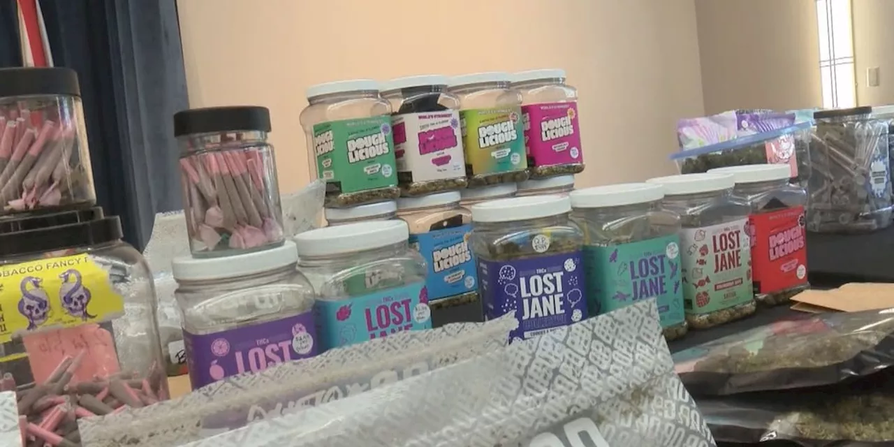 Some drugs recovered in ALEA raid ‘geared toward children’