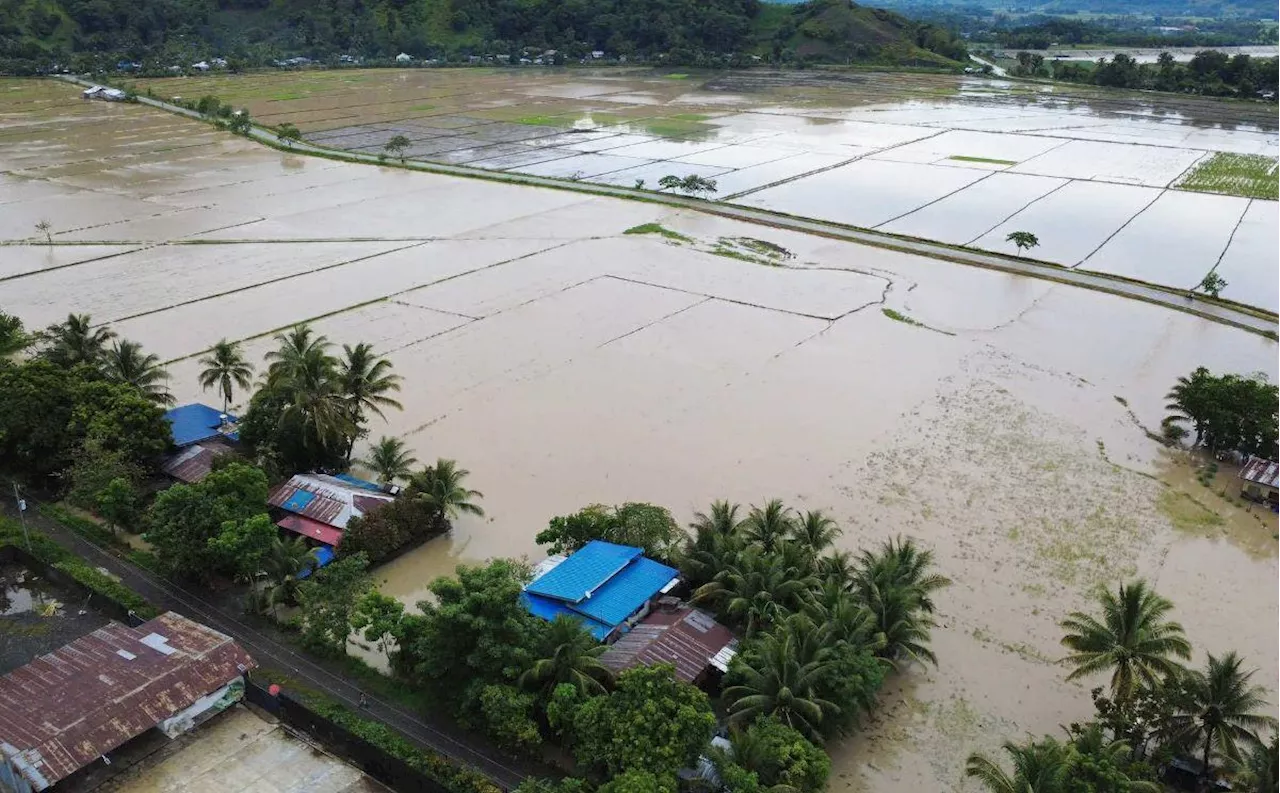 Flood damage to agri in Malaybalay, Bukidnon reaches P23M