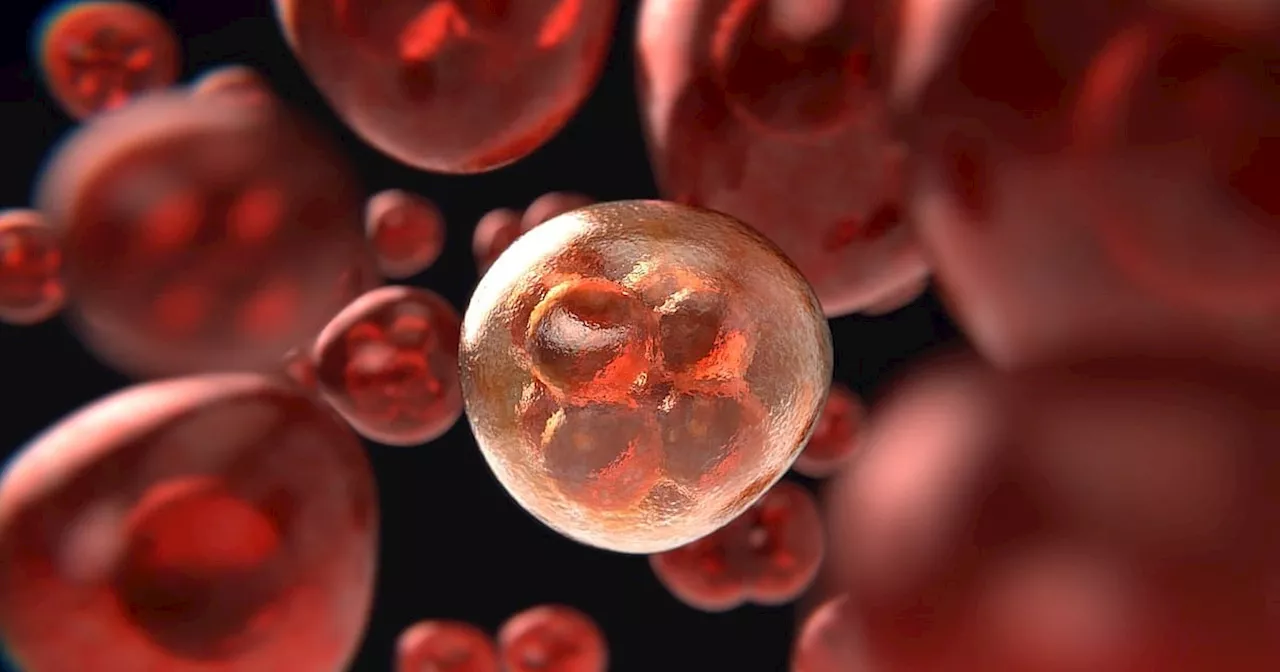 Addressing cancer in the PH: A call for accessibility, insurance