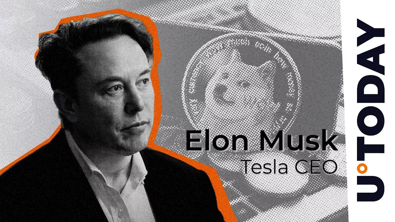 Musk's Tesla, SpaceX Amass $2 Billion Bitcoin, Up $1.5 Billion