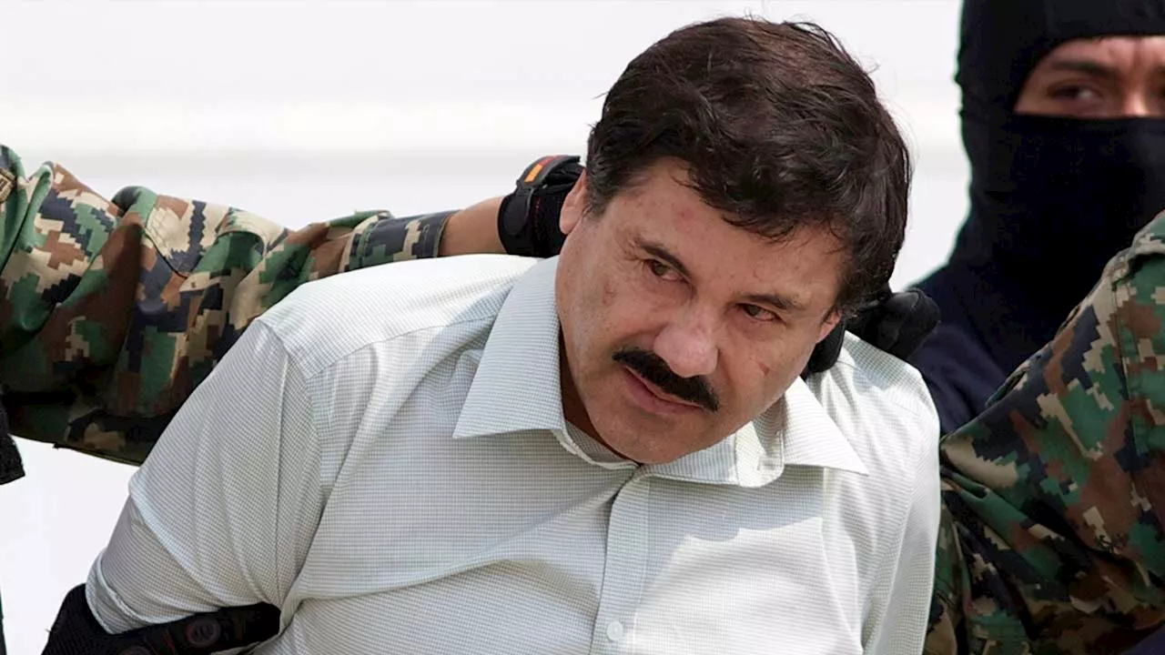 Sinaloa drug cartel used hacker to track FBI official, then killed potential informants, audit says
