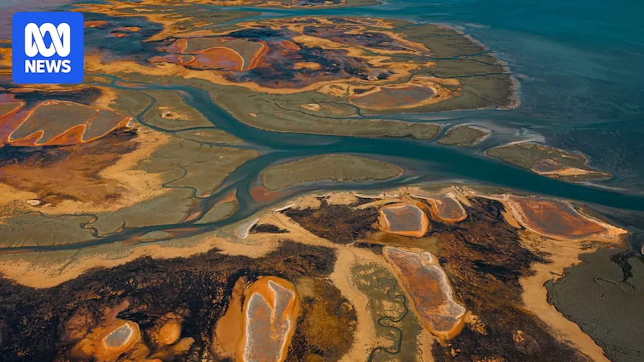 Andrew 'Twiggy' Forrest's Wyloo lodges mining applications for WA wetland