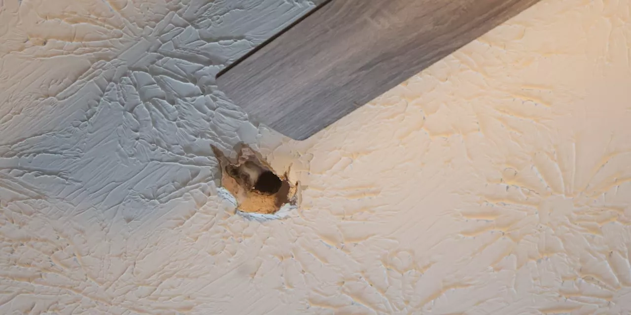 ‘Fireball’ in sky may have crashed through home, officials say