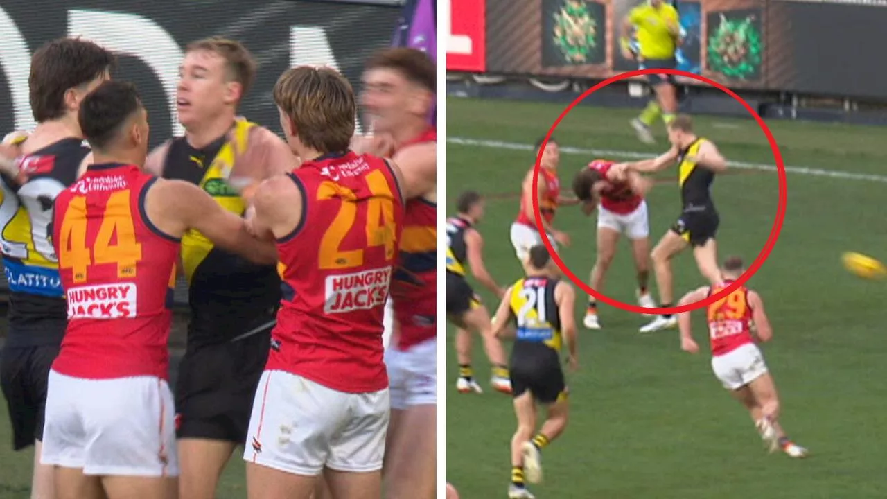 ‘In plenty of trouble’: Tigers gun facing hefty ban for ‘big, wild’ punch amid fiery scenes