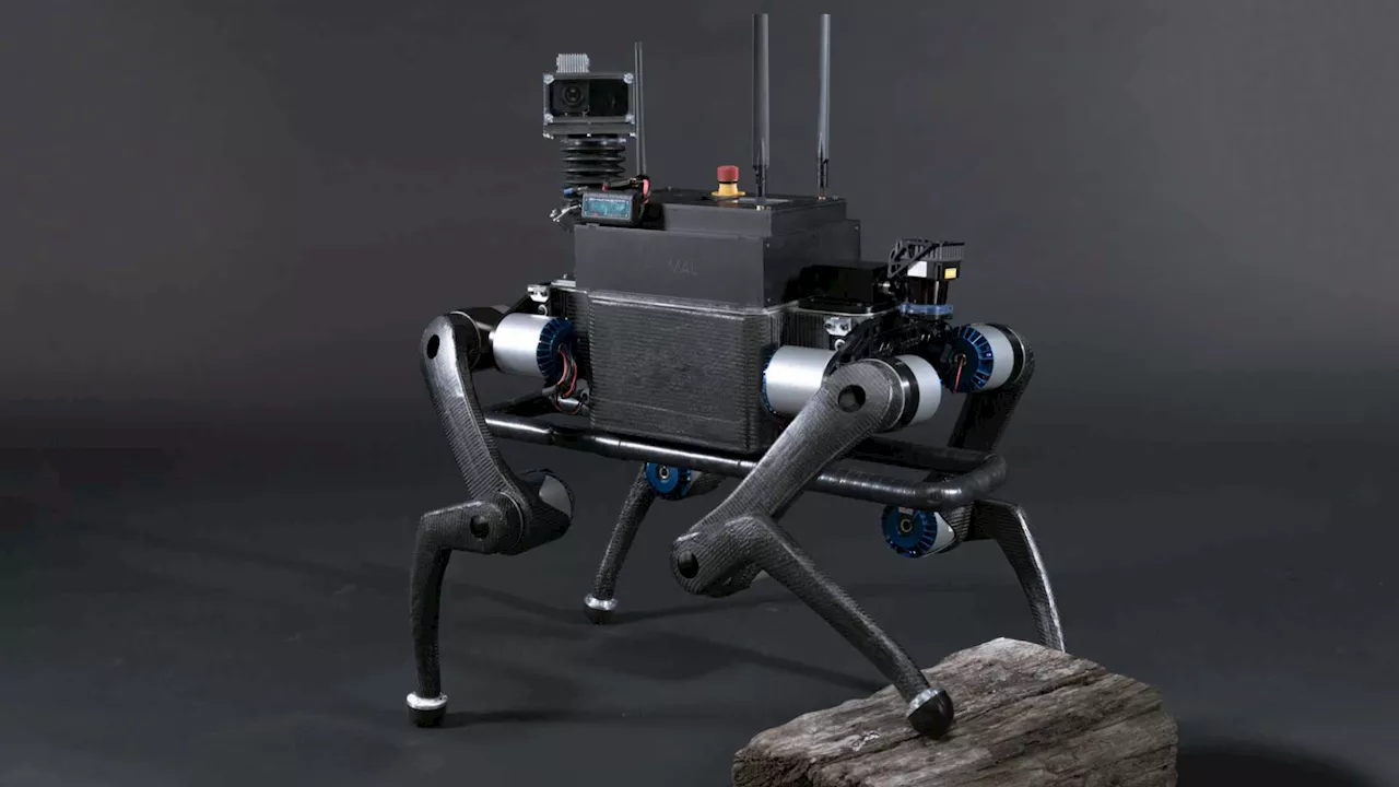 Swiss robot dog can now pick up and throw a ball accurately like humans