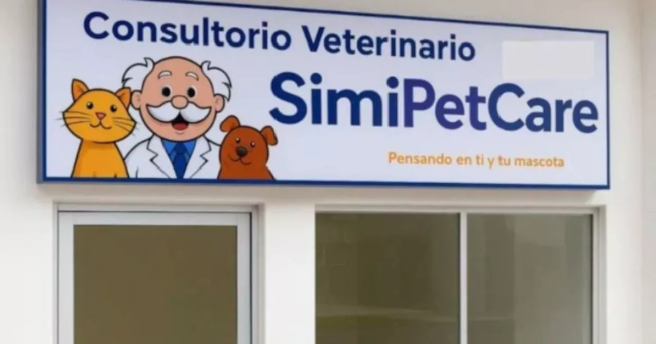 ¡Lleno de ternura! Así puedes tener una consulta GRATIS para la SimiPet