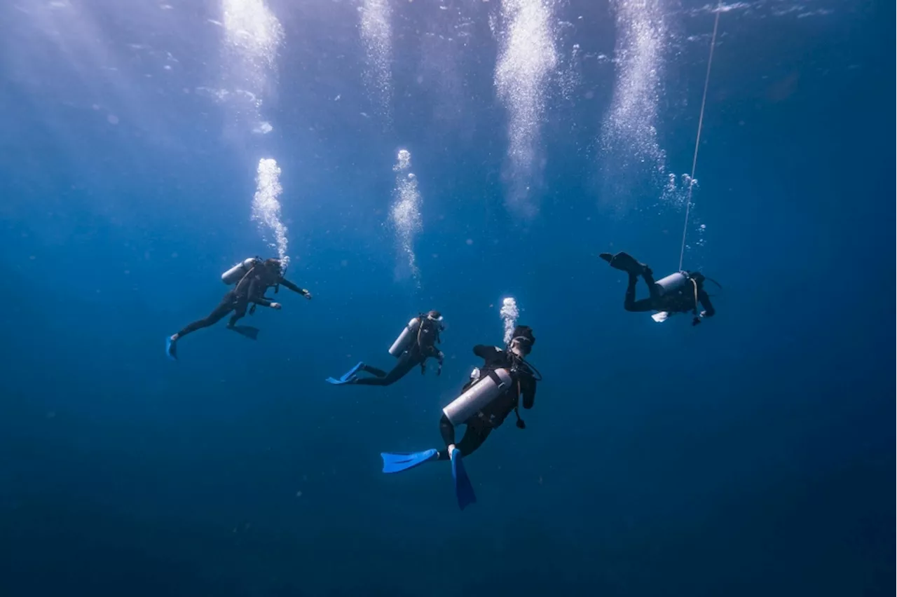 Missing UTHM lecturer found safe after Pulau Tioman diving scare, swam 1.4km to Pulau Tulai