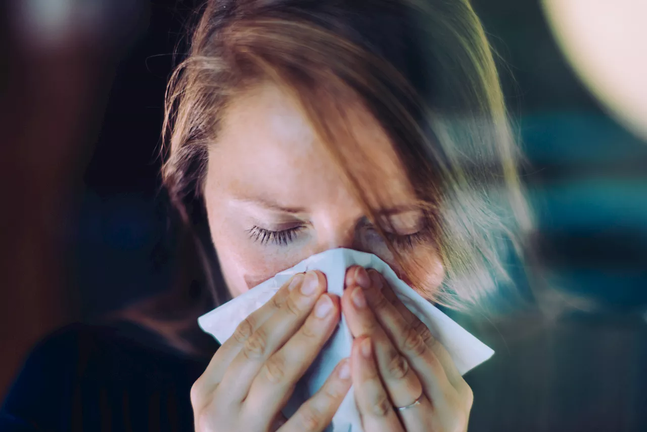 Why do we say ‘bless you' when we hear someone sneeze?