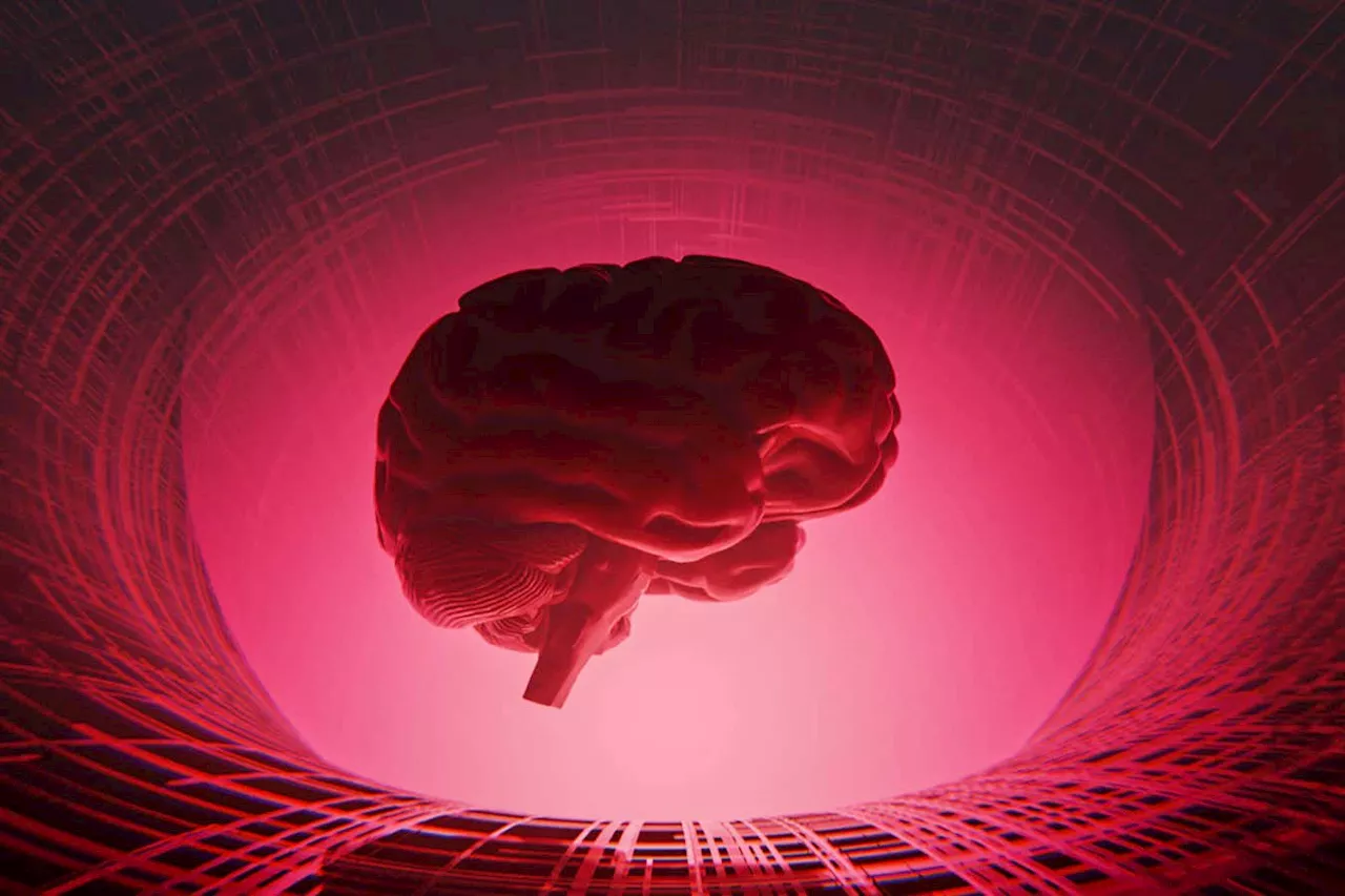 This daringly experimental thriller is a puzzle-lover's delight
