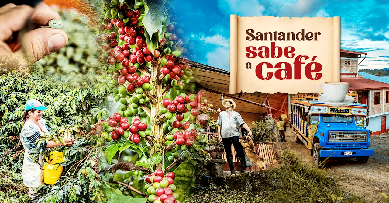 Santander sabe a café: un especial sobre esta tradición - Especiales Vanguardia