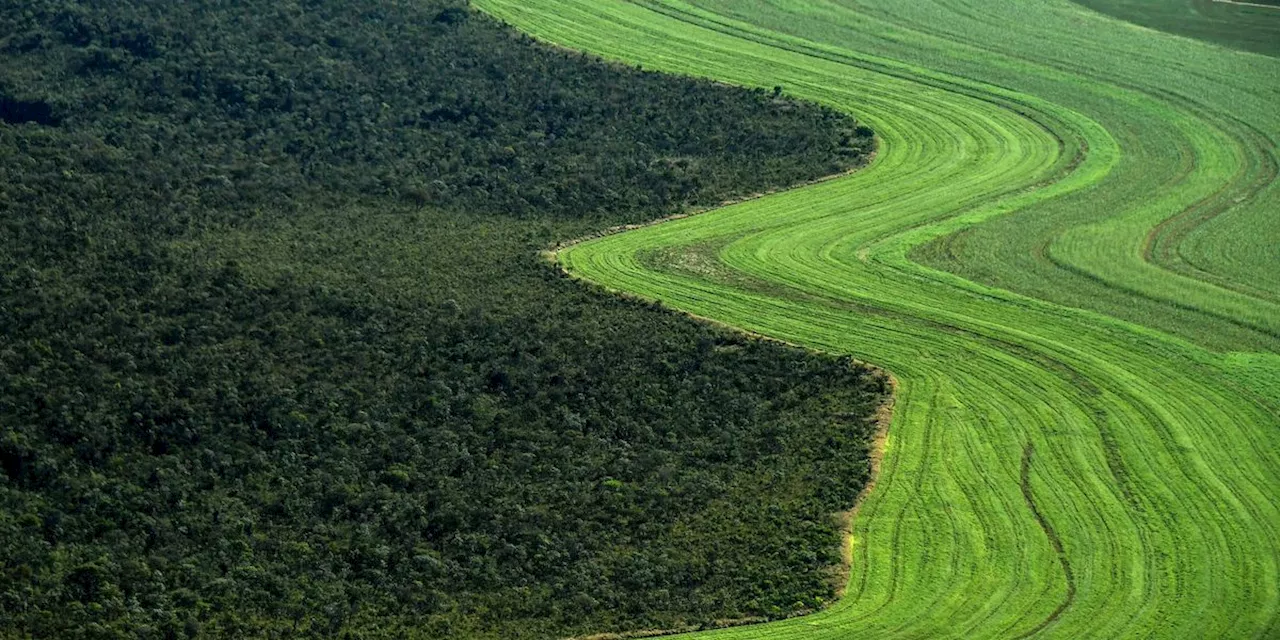 US Pension Fund TIAA Linked to Brutal Land Grabs and E​victions of Farmers in Brazil