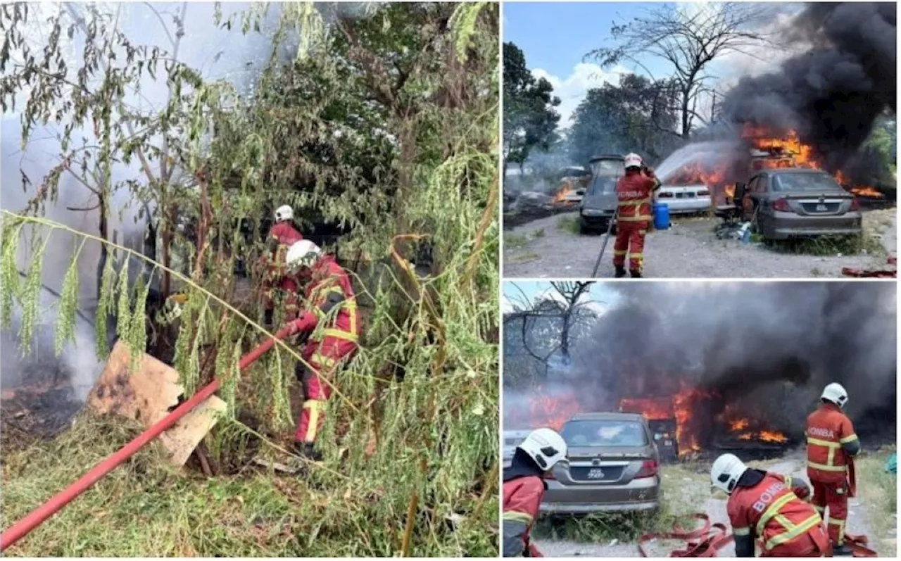 Bayan Lepas blaze kills 19 goats, damages cars and lorry near shed; cause under probe