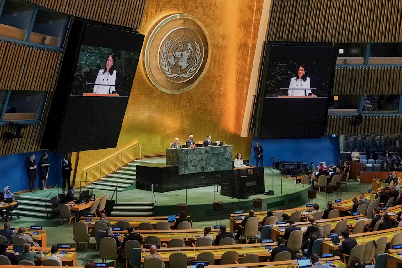 UN assembly elects Germany's ex-foreign minister as next president