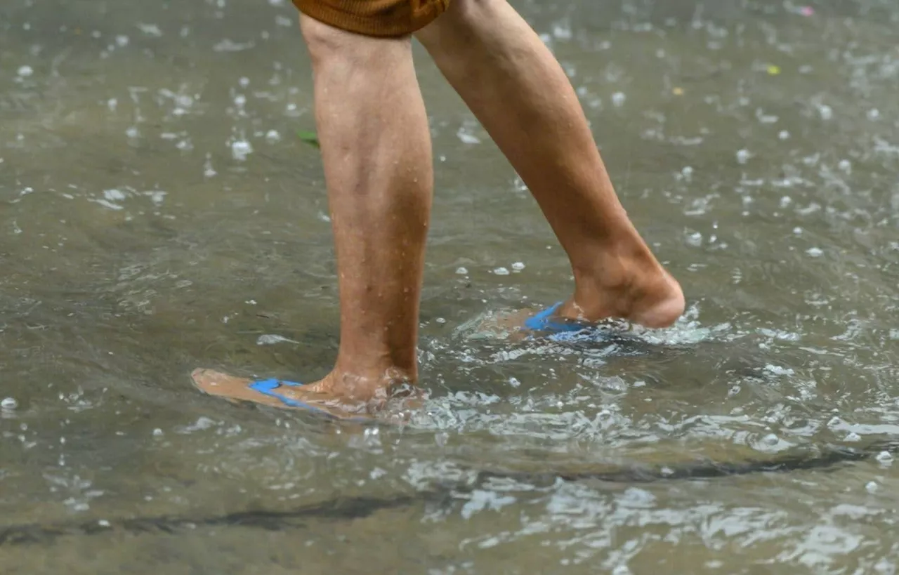 Simple rules to steer clear of leptospirosis