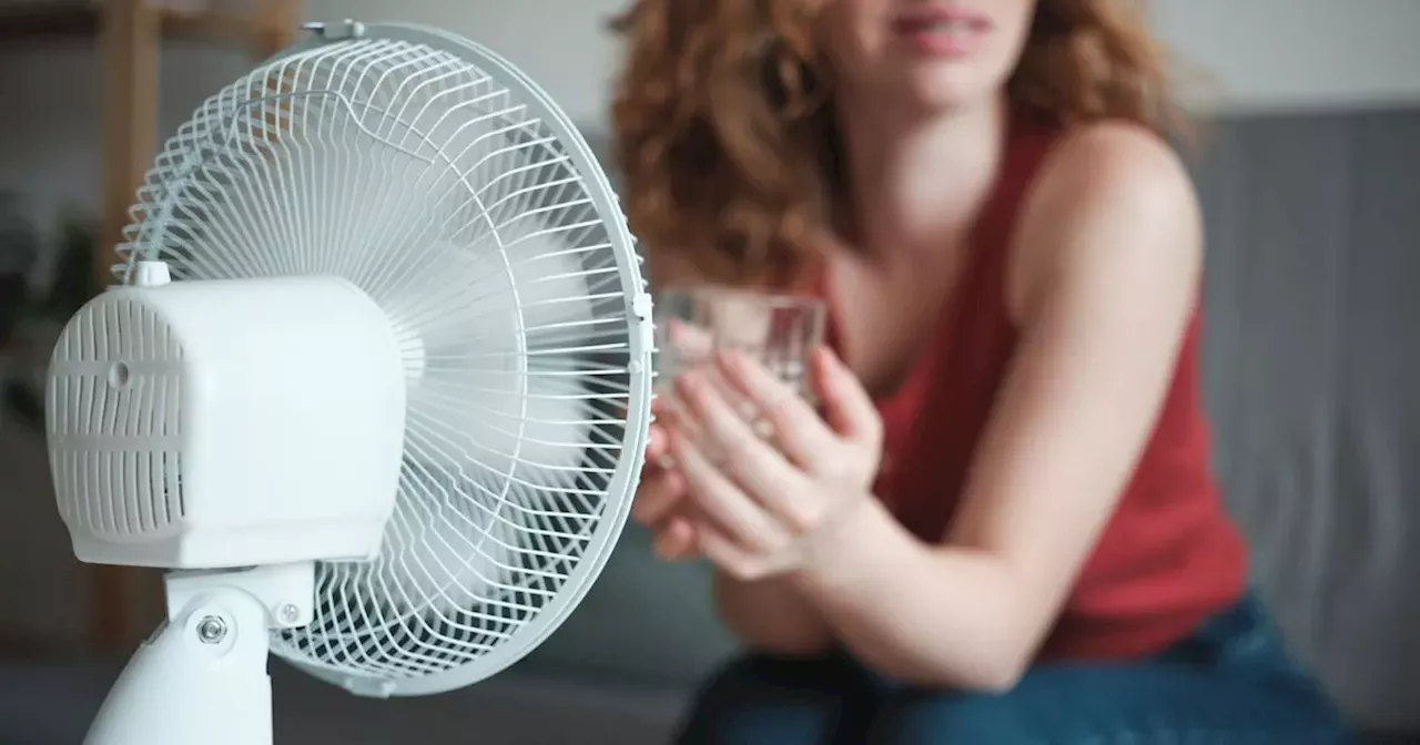 The £1 ice hack that will keep UK homes cool 'all day' and 'feels like air con'