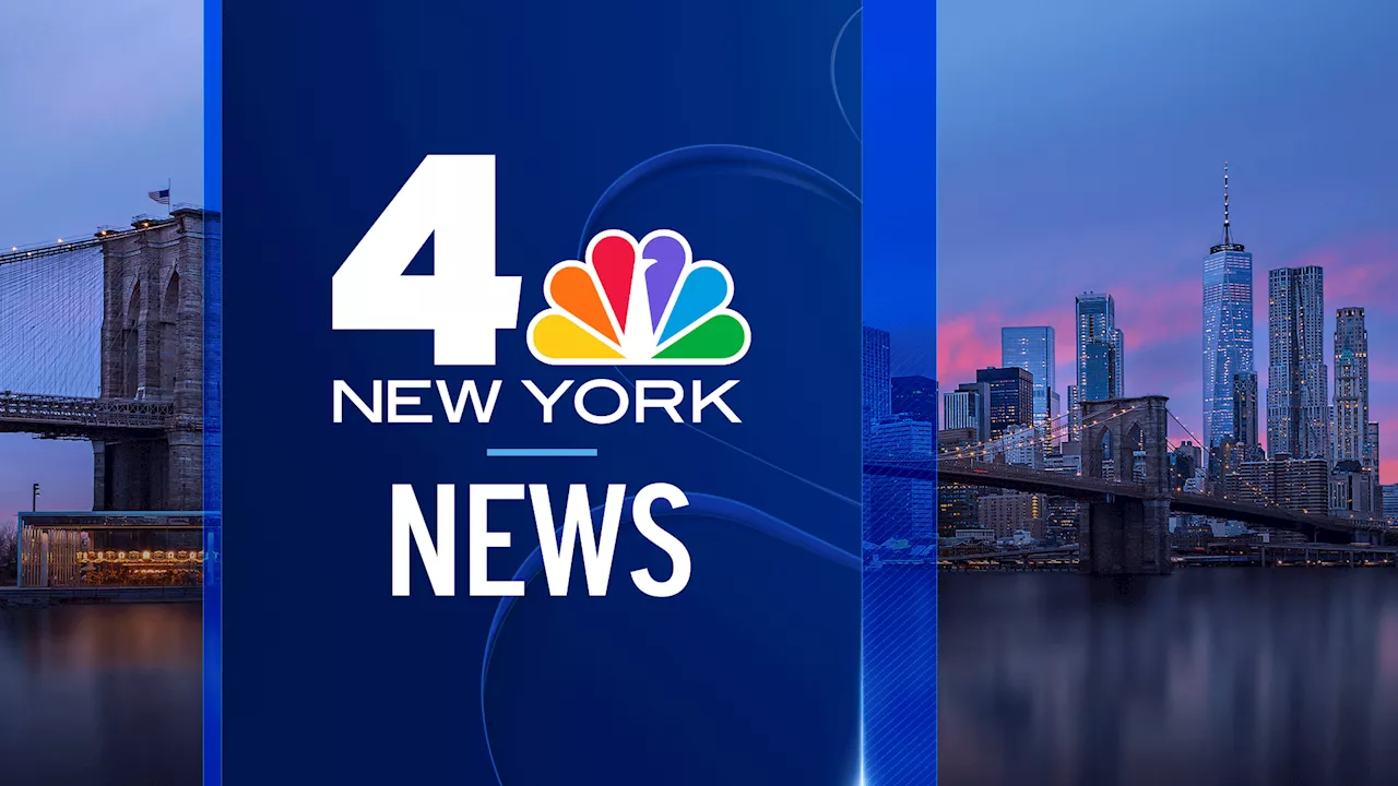 Five Gang Members Sentenced for Brutal Machete Slaying of NYC Teen Lesandro ‘Junior' Guzman-Feliz in Bronx Bodega