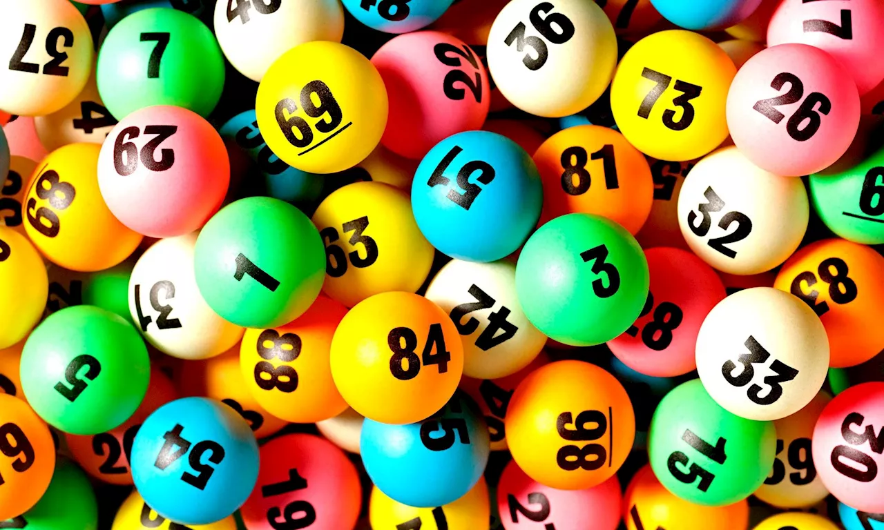 Minister Tau must launch independent probe into Lotto tender as scandal deepens