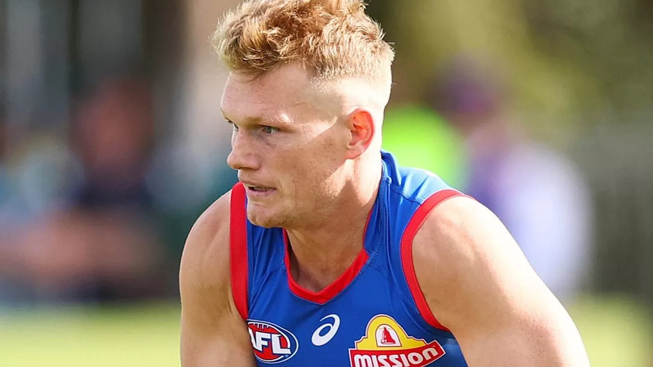 Fears for popular veteran Adam Treloar’s AFL career after injury setbacks: ‘Different proposition’