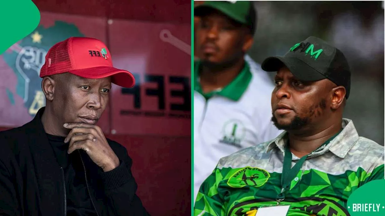 Julius Malema Reacts to Floyd Shivambu’s Demotion From Secretary-General to MP