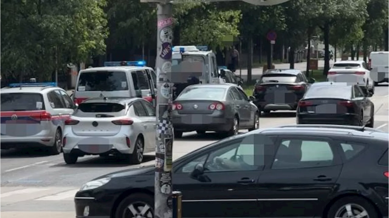 Festnahme auf offener Straße - Unbelehrbar! Ex-Häftling am Wiener Gürtel verhaftet