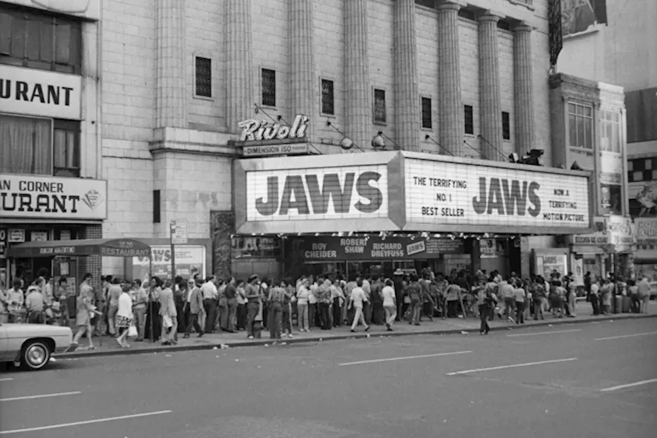 Bigger Boat, Bigger Legacy, Jaws - 50 Years Later - South Africa Today