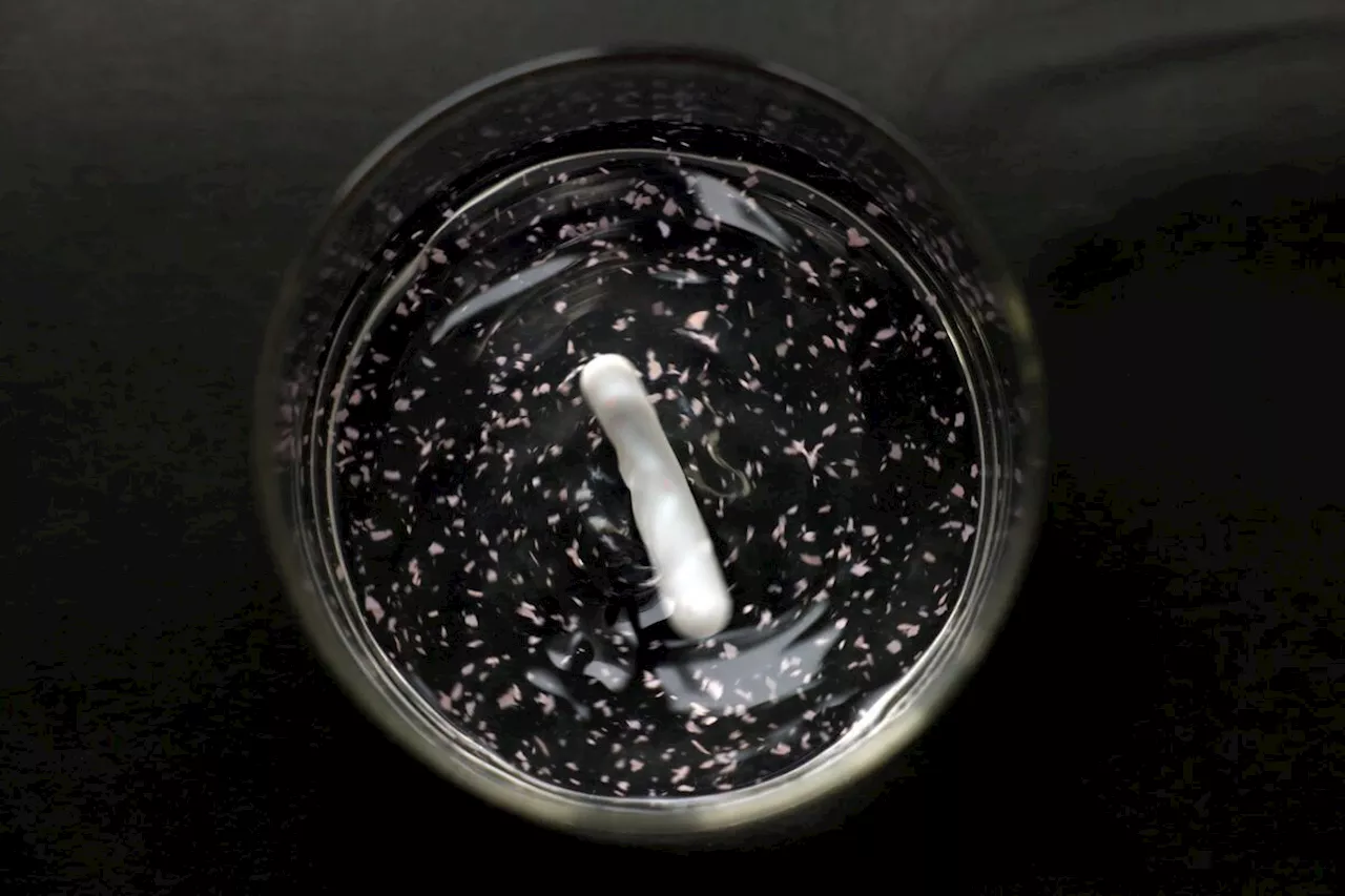 Japan scientists develop plastic that dissolves in seawater within hours