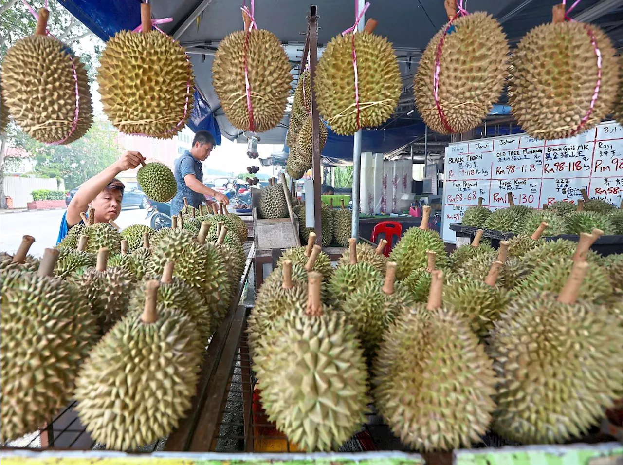 Room and durian a welcome combo