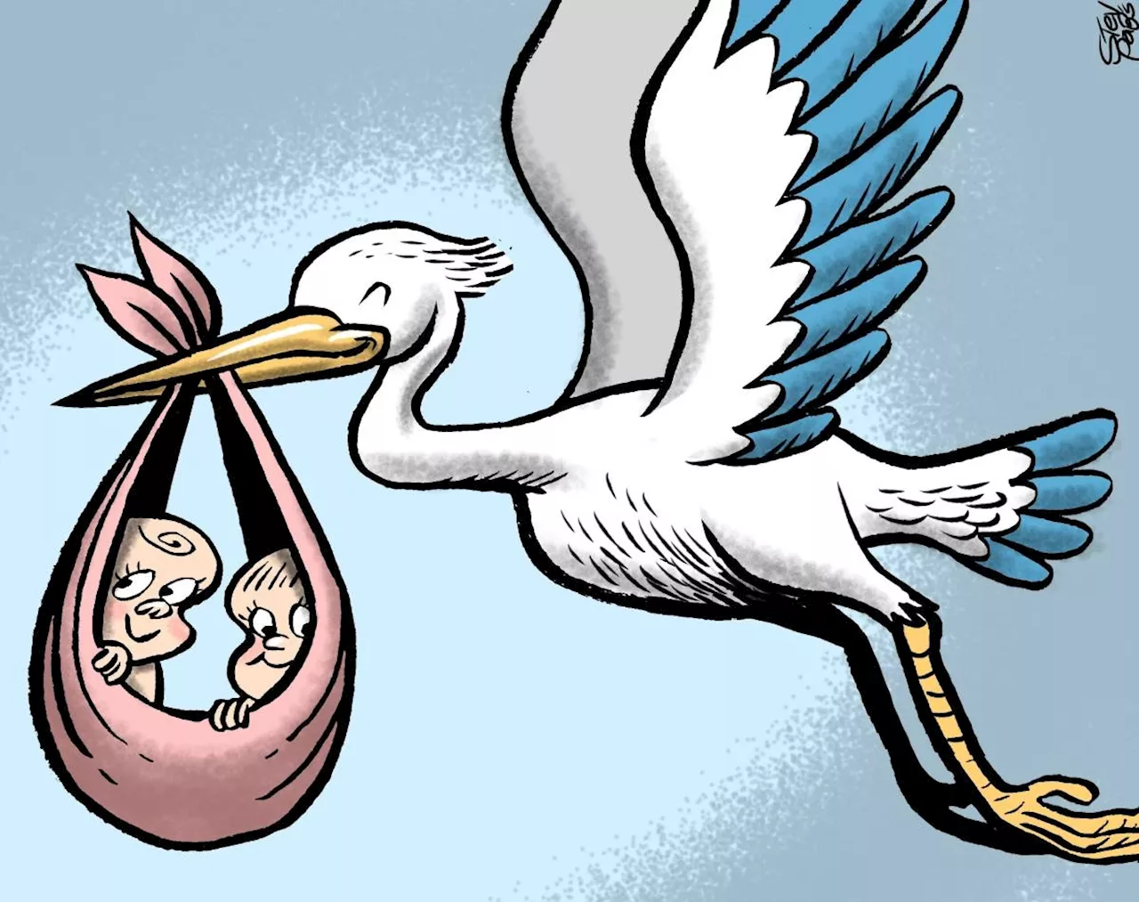 Reflections on a roller-coaster twin pregnancy