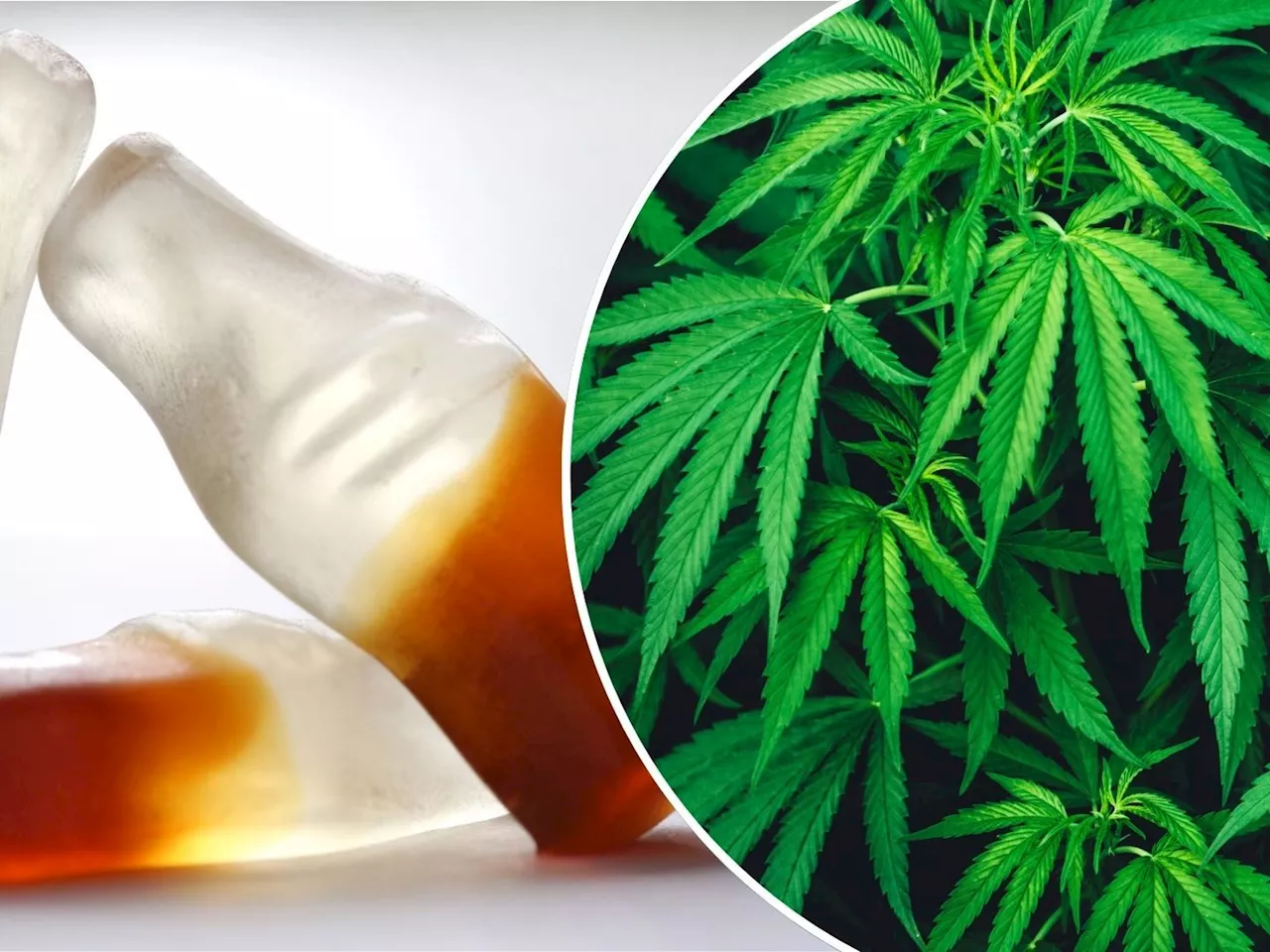 Kleinkind nach Verzehr von Fruchtgummis mit Cannabis im Koma
