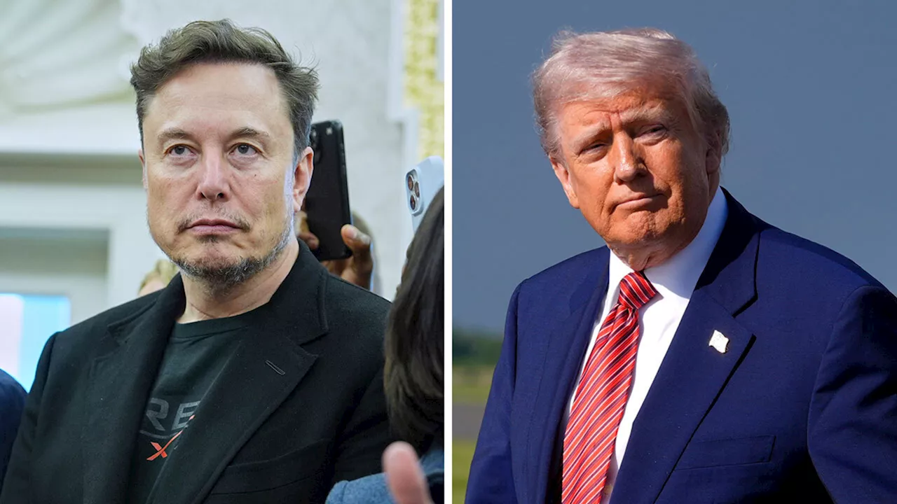 The Apple Musk Feud Escalates: Immediate Legal Action! - d5pl3iw