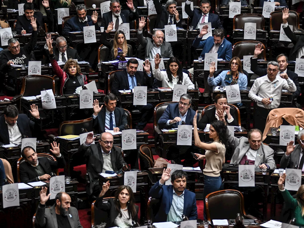 Duro revés para el Gobierno: Diputados dio media sanción al aumento para los jubilados y a la prórroga de la moratoria
