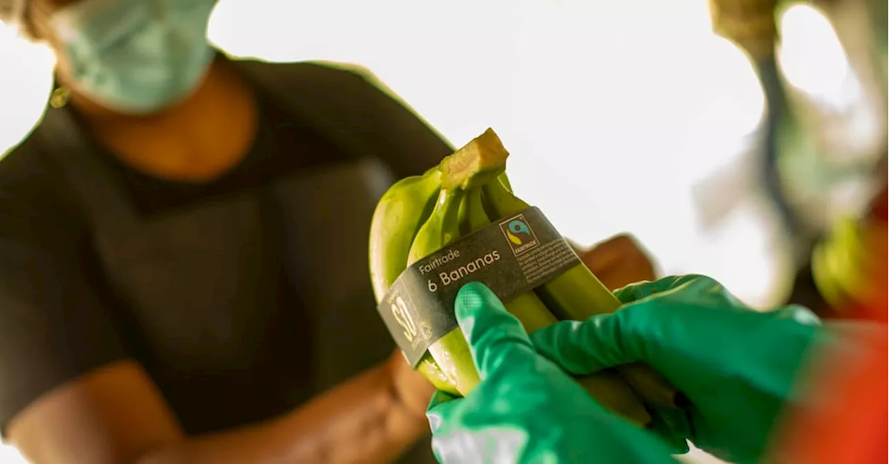 Commercio equo e solidale, vendite certificate Fairtrade a quota 550 milioni