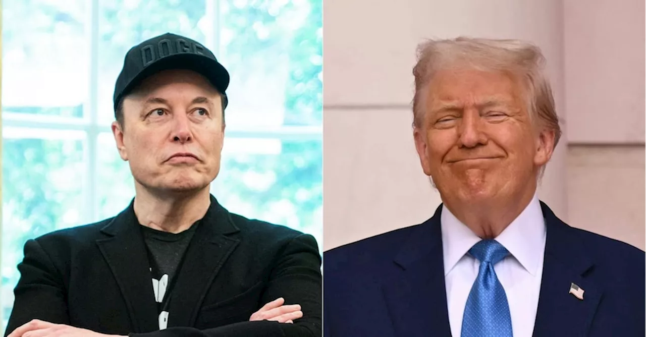 Musk attacca: «Trump è nei files di Epstein». E lancia un partito