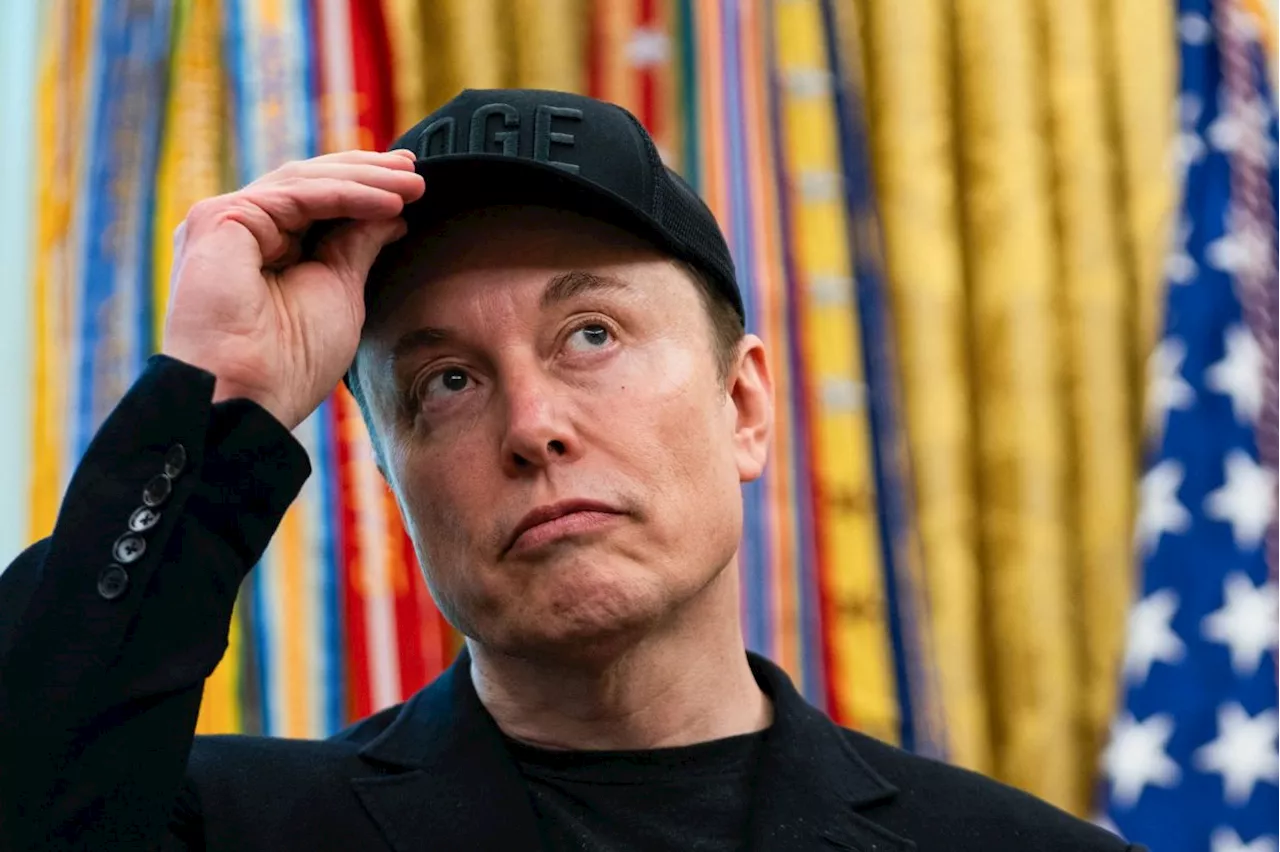 A lingering Musk: Will ex-aide Elon get up Trump's nose?